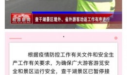 松原爆料热点新闻视频,揭秘最新爆料视频背后的真相