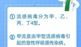 甲流最新情况爆料,全球防控形势与病例分布概览